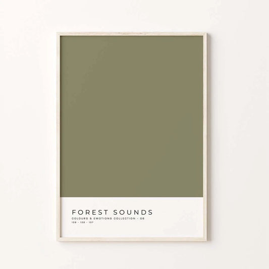 Forest Sounds