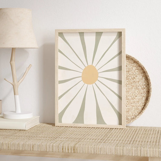 Daisy Rays