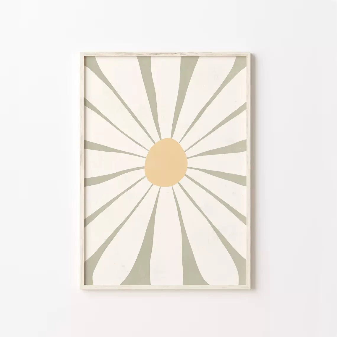 Daisy Rays